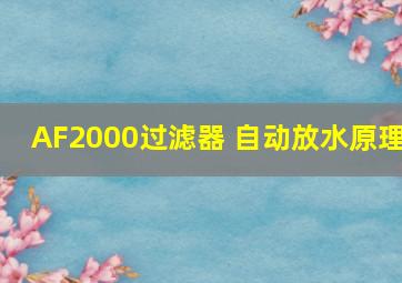 AF2000过滤器 自动放水原理